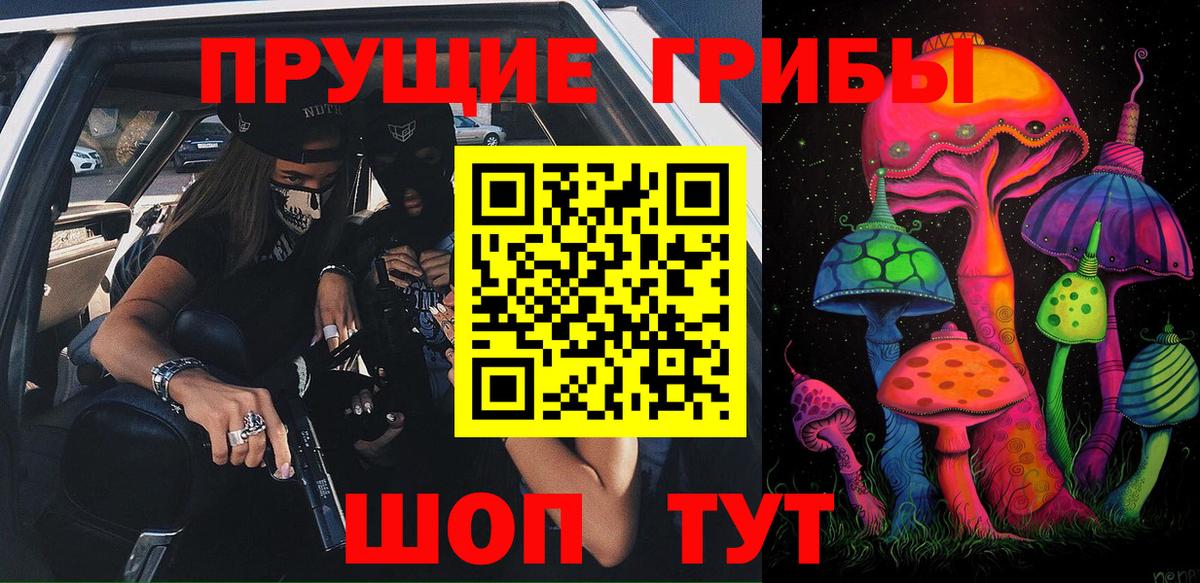 Псилоцибиновые грибы Psilocybine cubensis Киселёвск