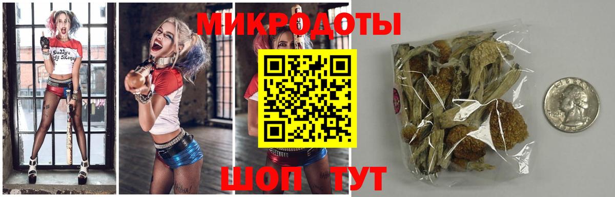 как найти закладки  Галлюциногенные грибы прущие грибы  Вход с VPN  Киселёвск 